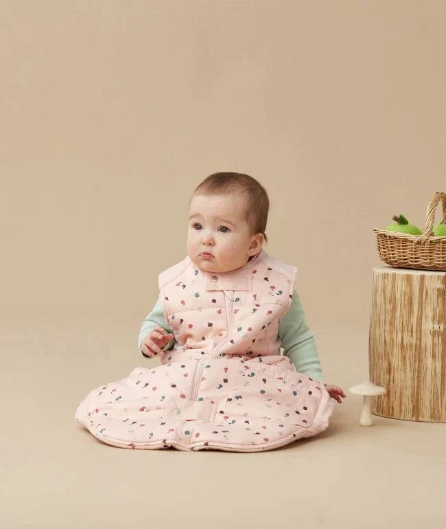 ErgoPouch - Cocoon Swaddle Bag - Cute Fruit - 2.5 TOG - Stylemykid.com