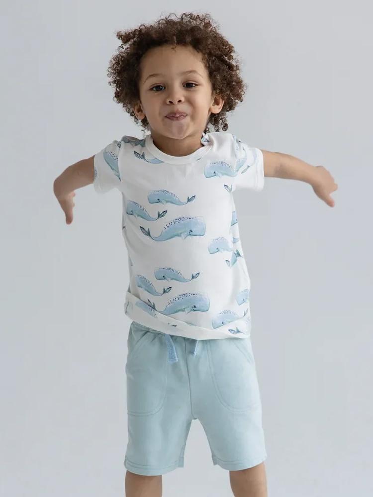 Artie - Pale Blue French Terry Baby and Little Kids Shorts - Stylemykid.com