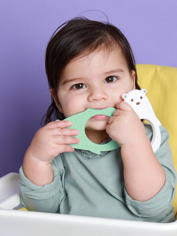 The Molar Bear Silicone Teether - Minty Green - Stylemykid.com