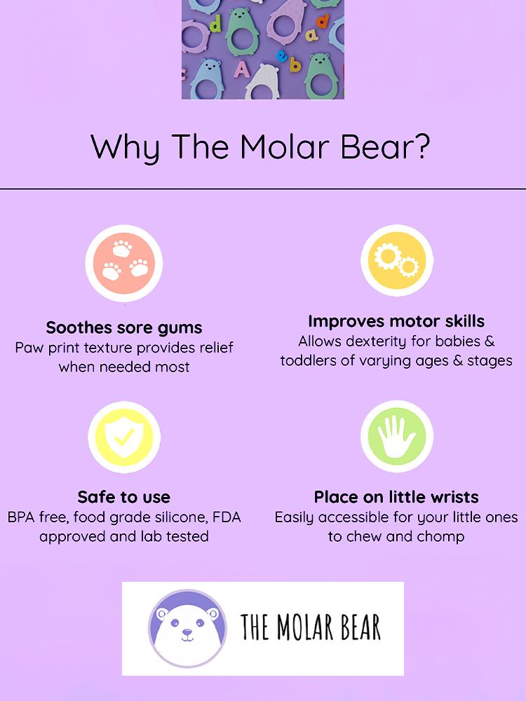 The Molar Bear Silicone Teether - Minty Green - Stylemykid.com