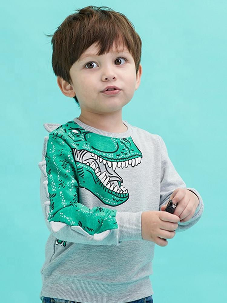 Spikes Out - Boys Roaring Grey and Green T-Rex Dinosaur Sweatshirt - Stylemykid.com