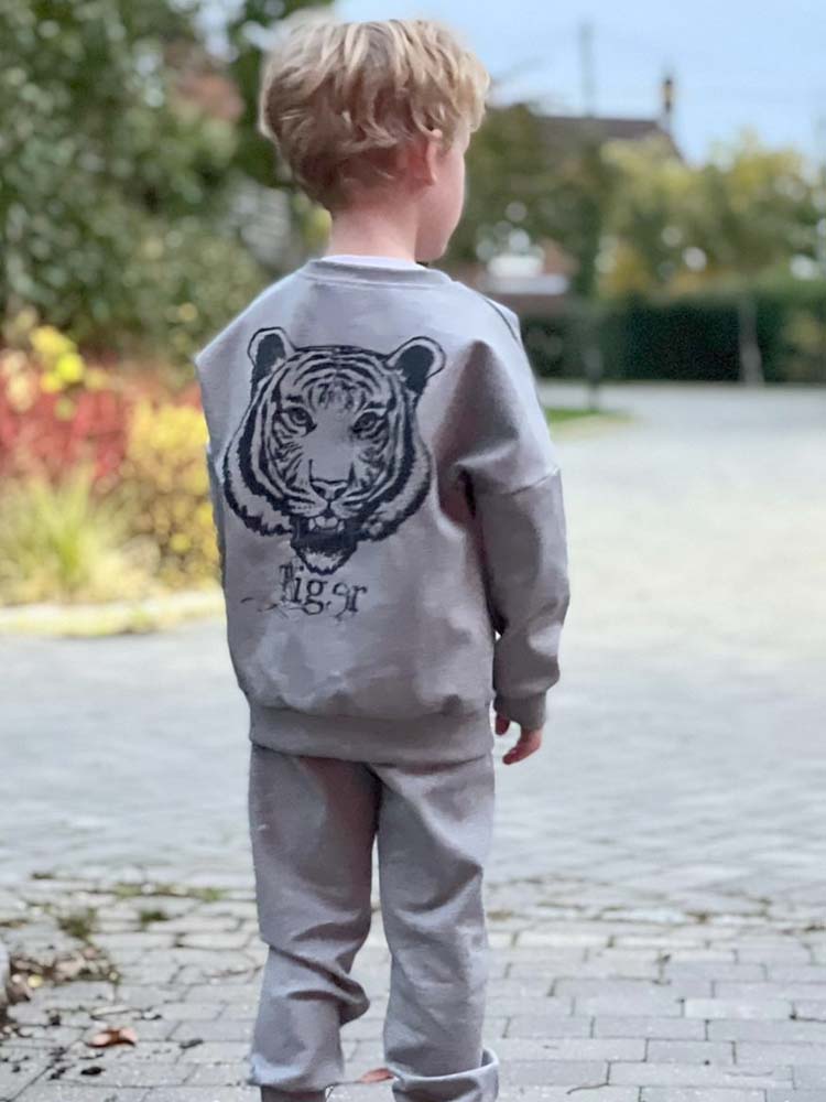 Tiger Face Kids Tracksuit 2 Piece Set - Grey - 2 to 6 Years - Stylemykid.com