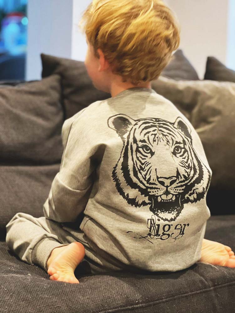 Tiger Face Kids Tracksuit 2 Piece Set - Grey - 2 to 6 Years - Stylemykid.com