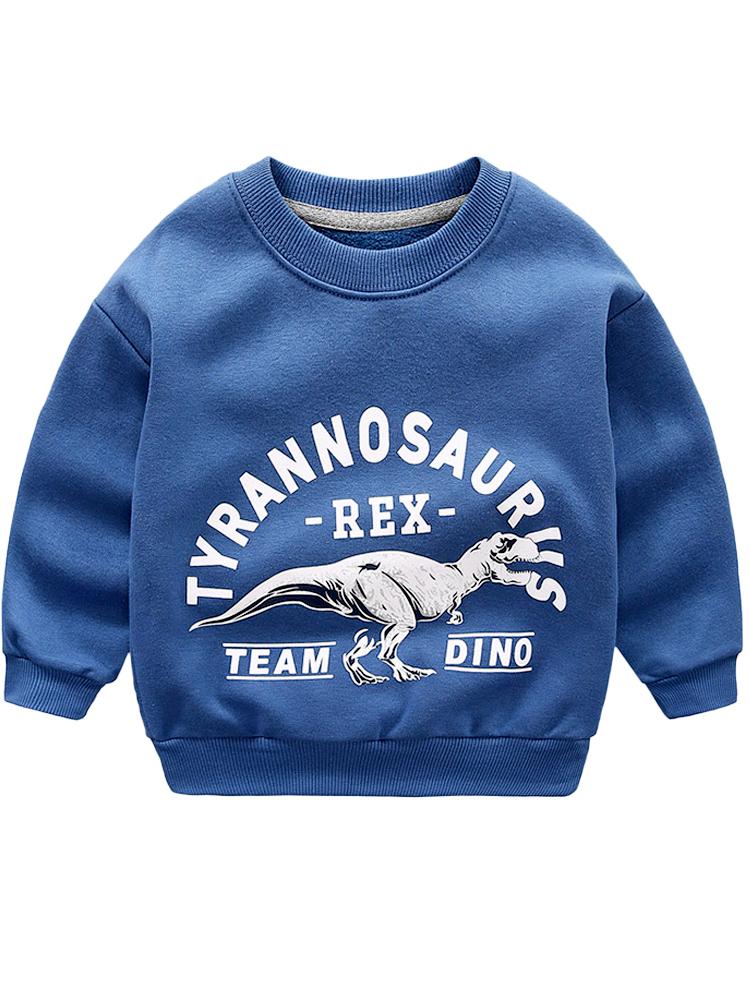 Tyrannosaurus Rex Team Dino - Steel Blue Boys/ Girls Sweatshirt - Stylemykid.com