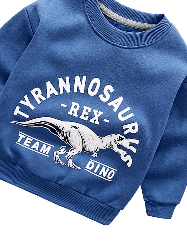 Tyrannosaurus Rex Team Dino - Steel Blue Boys/ Girls Sweatshirt - Stylemykid.com