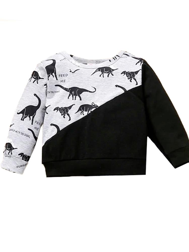 Baby Boy Dinosaur Print Top & Joggers Set - 3-18Months - Stylemykid.com