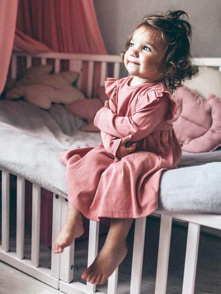 Artie - Pink Girls Ribbed Dress with Ruffles - Rose Forest 12 to 24 Months - Stylemykid.com